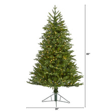 Load image into Gallery viewer, 5&#39; Cambridge Fir Artificial Christmas Tree with 300 Clear Warm LED Lights
