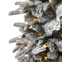 Load image into Gallery viewer, 7&#39; Flocked North Carolina Fir Artificial Christmas Tree w550 Warm White Lights
