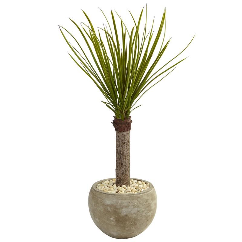 3.5' Yucca Tree in Sand Colored Bowl