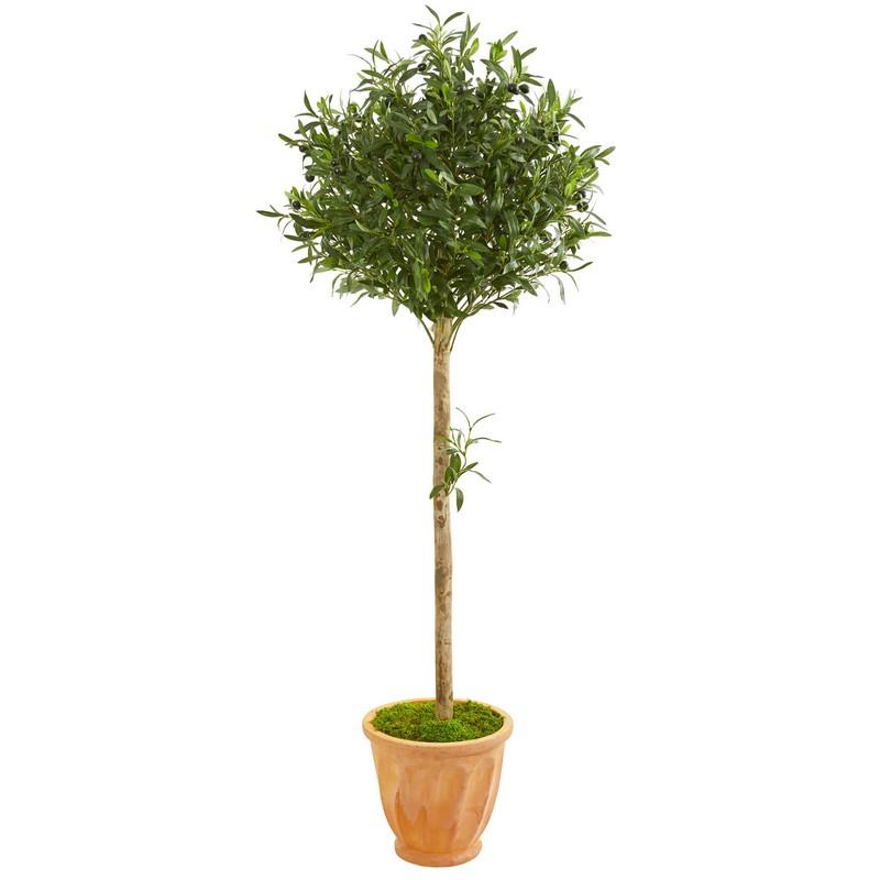 5' Olive Topiary Artificial Tree in Terra Cotta Planter