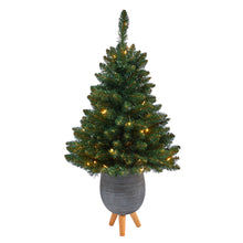 Load image into Gallery viewer, 3.5&#39; Northern Rocky Spruce Artificial Christmas Tree w/ 50 Clear Lights
