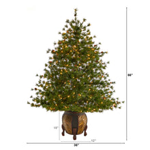 Load image into Gallery viewer, 5.5&#39; Colorado Mountain Pine Artificial Christmas Tree w/ 250 Clear Lights
