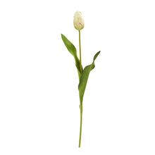 Load image into Gallery viewer, 23&quot; Dutch Tulip Artificial Flower (Set of 12)
