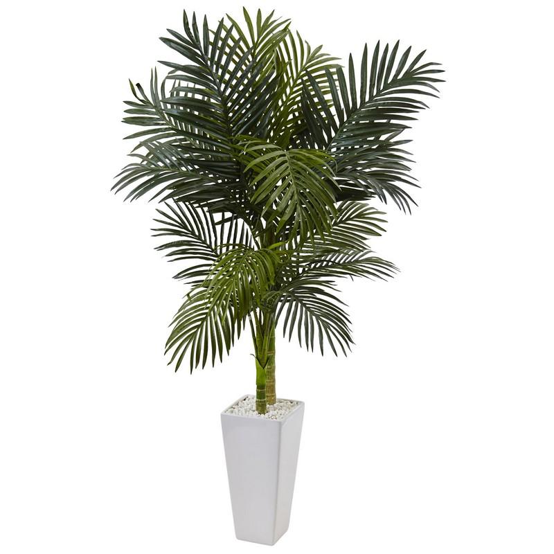 5' Golden Cane Palm Tree in White Tower Planter