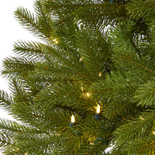 Load image into Gallery viewer, 6&#39; Cambridge Spruce Flat Back Artificial Christmas Tree
