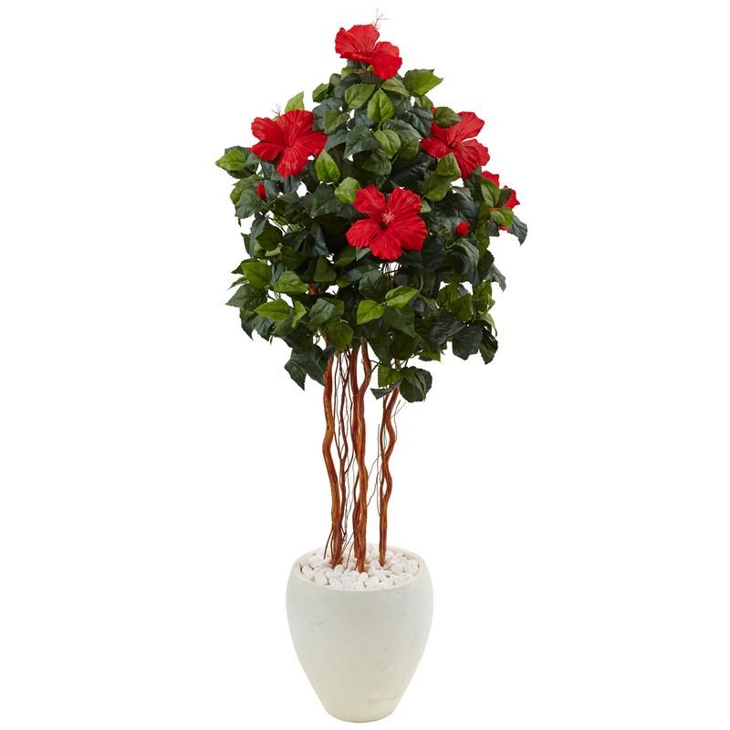 4.5' Hibiscus Tree in White Oval Vase