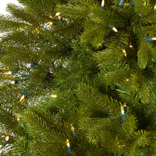 Load image into Gallery viewer, 7&#39; Cambridge Spruce Flat Back Artificial Christmas Tree w/ 500 Warm White
