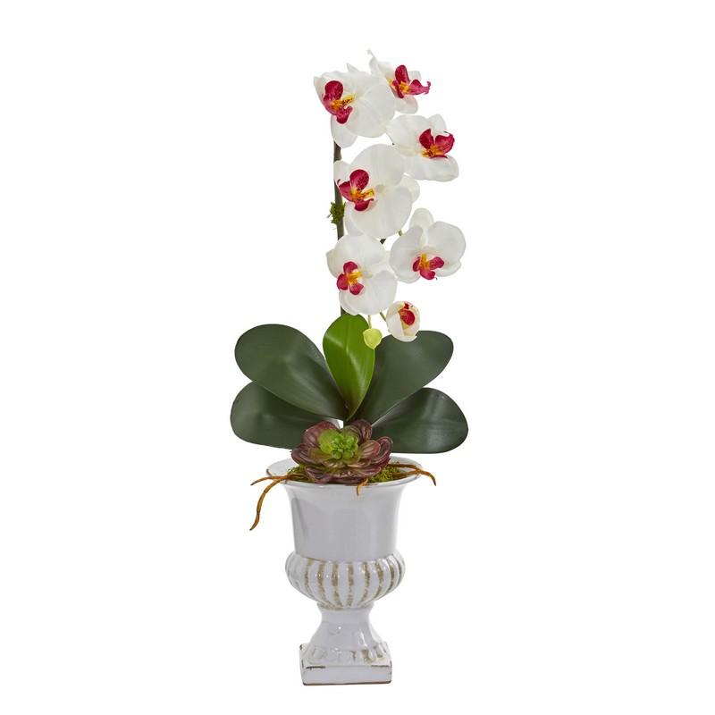 Phalaenopsis Orchid and Succulent Artificial Arrangement in Urn