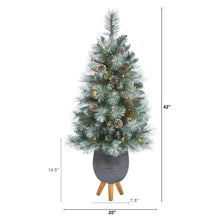 Load image into Gallery viewer, 3.5&#39; Frosted Tip British Columbia Mountain Pine Artificial Christmas Tree
