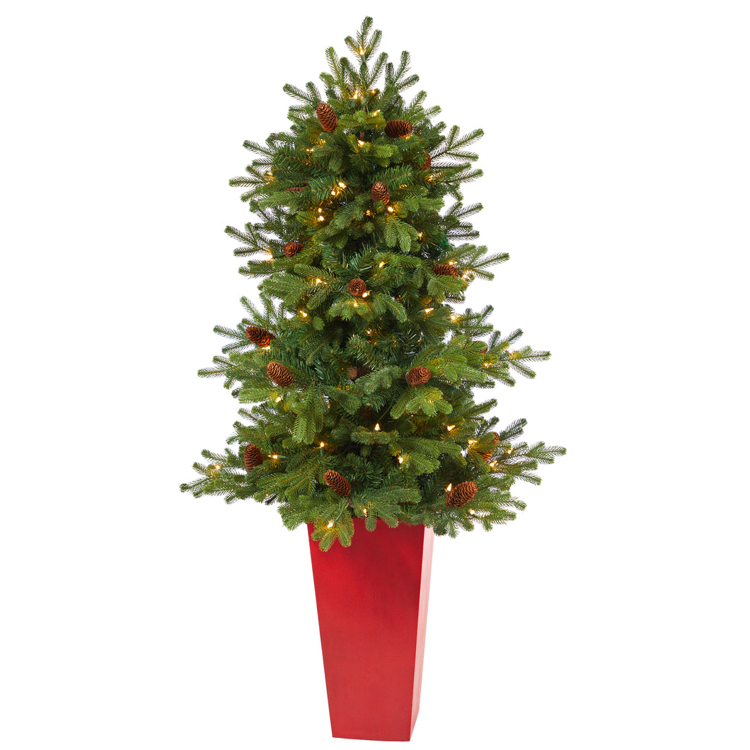 56' Yukon Mountain Fir Artificial Christmas Tree w/ 100 Clear Lights, Pine Cones