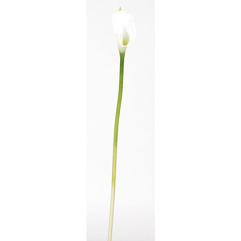 Calla Lilly Silk Flower (12 Stems)