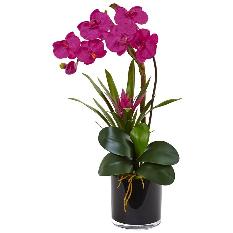 Orchid and Bromeliad in Glossy Black Cylinder