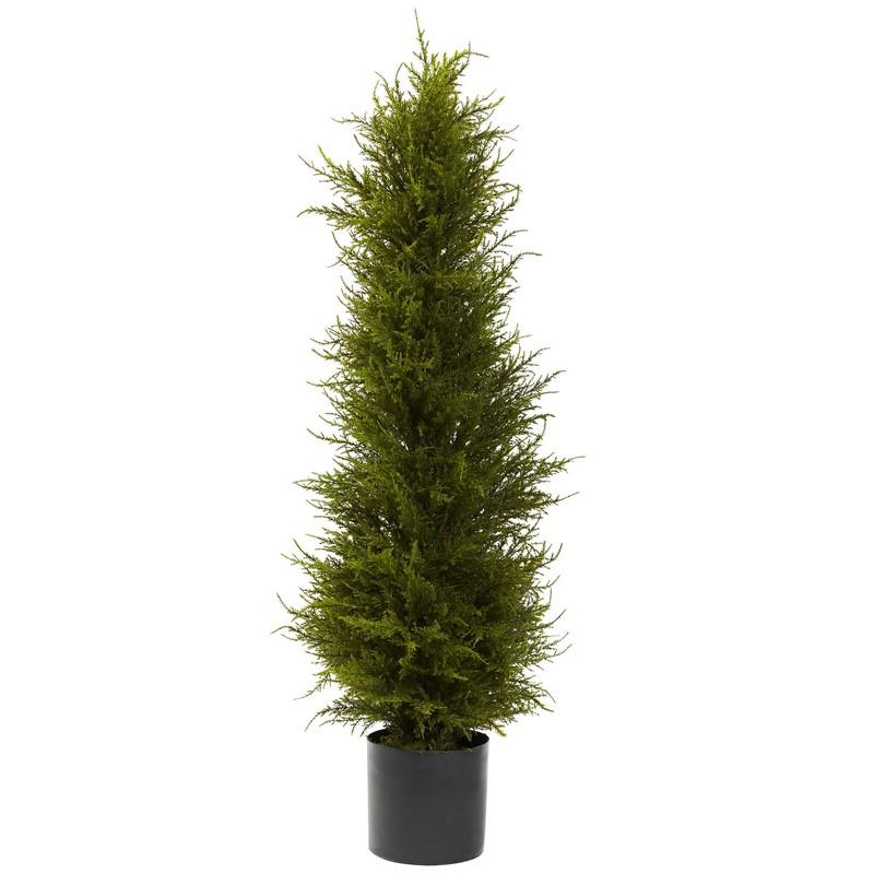 42' Cedar Tree