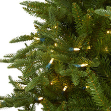 Load image into Gallery viewer, 7.5' Cambridge Fir Artificial Christmas Tree with 800 Clear Warm LED Lights
