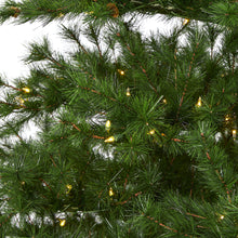 Load image into Gallery viewer, 9&#39; Colorado Mountain Pine Artificial Christmas Tree with 650 Clear Lights
