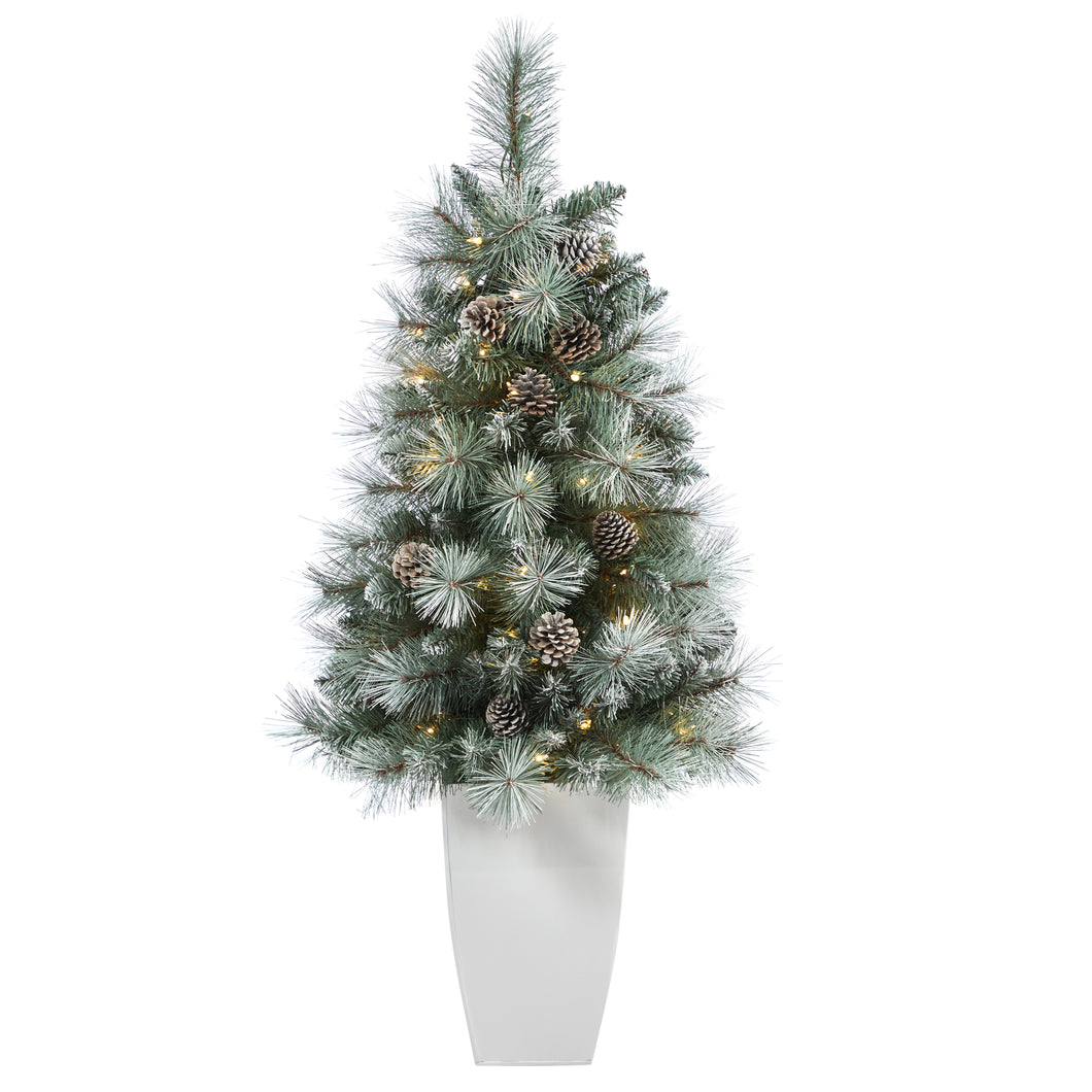 3.5' Frosted Tip British Columbia Mountain Pine Artificial Christmas Tree