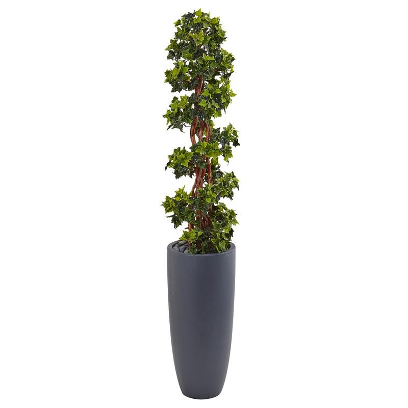 5' English Ivy Spiral Topiary Tree in Gray Cylinder Planter UV Resistant