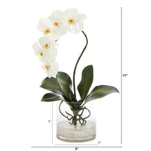 Load image into Gallery viewer, 17&quot; Phalaenopsis Orchid Artificial Arrangement in Glass Vase
