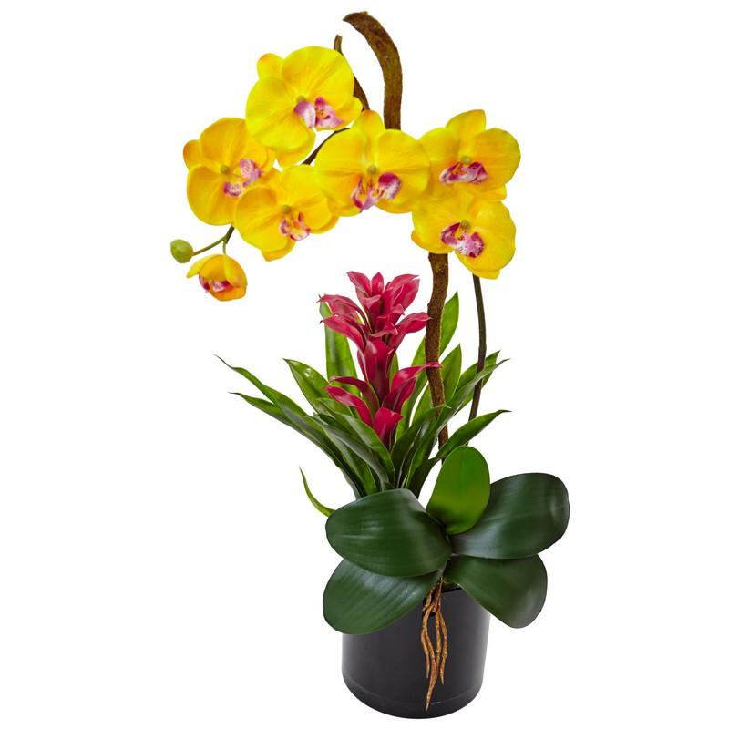 Orchid and Bromeliad in Glossy Black Cylinder
