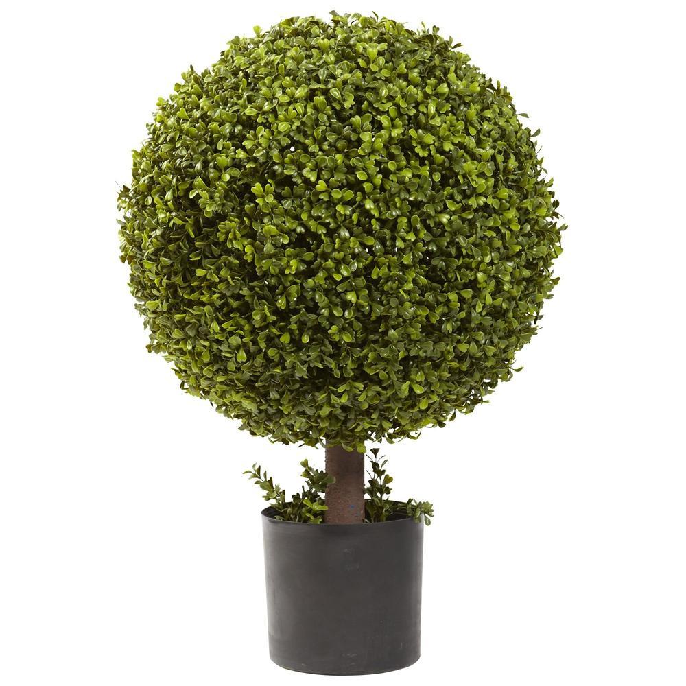 27' Boxwood Ball Topiary