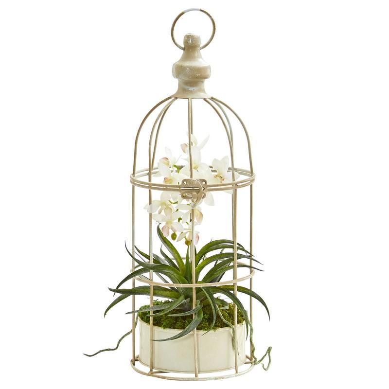 Mini Phalaenopsis Orchid Artificial Arrangement in Bird Cage