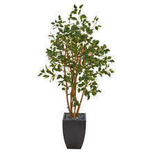 Load image into Gallery viewer, 58&quot; Ficus Artificial Tree in Black Planter
