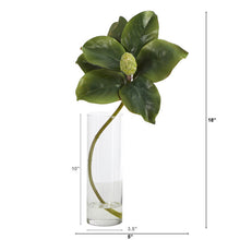 Load image into Gallery viewer, 18&quot; Magnolia Artificial Plant in Glass Planter
