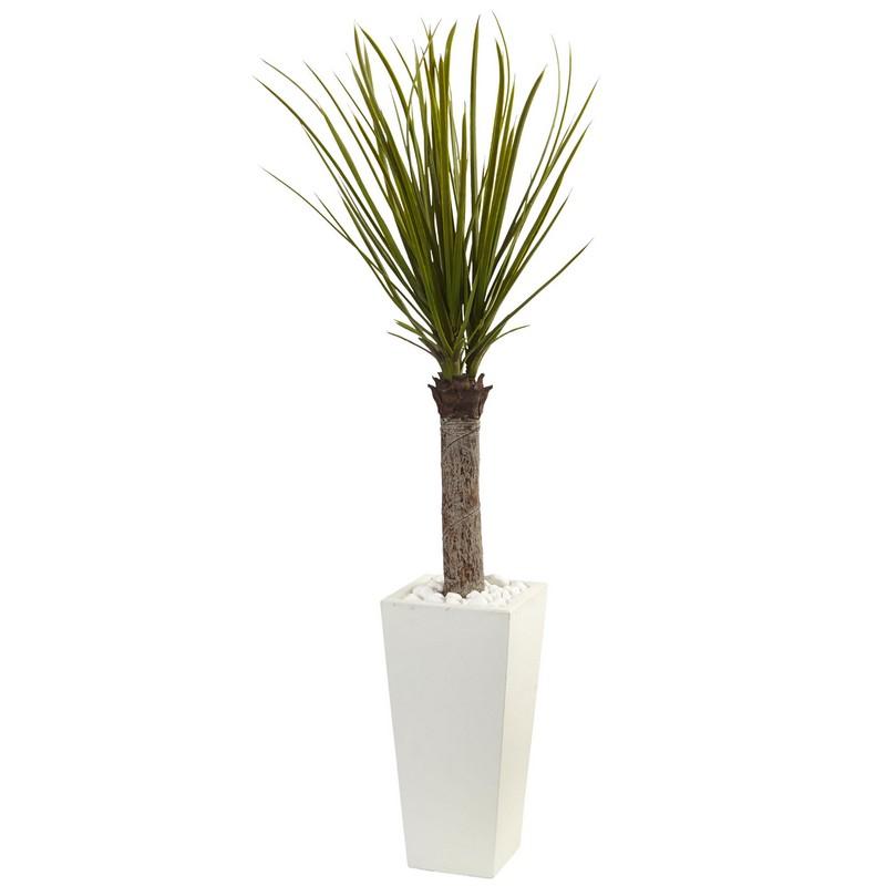 4' Yucca Tree in White Tower Planter