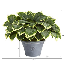 Load image into Gallery viewer, 23&quot; Variegated Hosta Artificial Plant in Gray Planter

