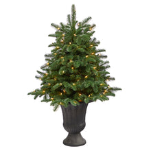 Load image into Gallery viewer, 3.5&#39; South Carolina Spruce Artificial Christmas Tree w/ 100 White Warm Light
