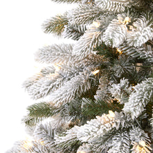 Load image into Gallery viewer, 7.5&#39; Flocked South Carolina Spruce Artificial Christmas Tree w 600 Clear Lights
