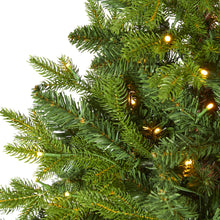 Load image into Gallery viewer, 5&#39; Fraser Fir &#39;Natural Look&#39; Artificial Christmas Tree w/ 190 Clear LED Lights
