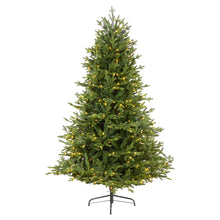 Load image into Gallery viewer, 6&#39; Wyoming Spruce Artificial Christmas Tree w/ 400 Clear LED Lights
