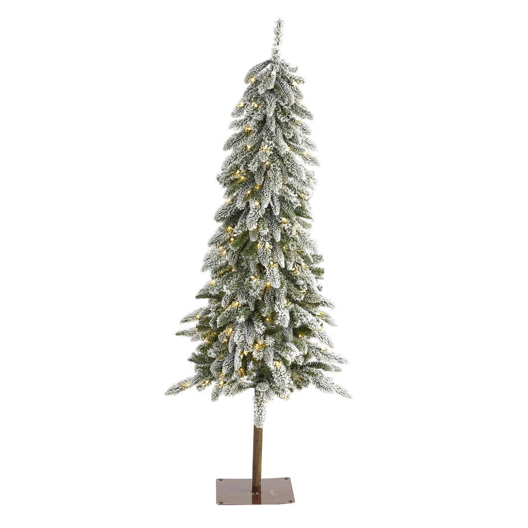 5.5' Flocked Washington Alpine Christmas Artificial Tree w 150 White Warm LED