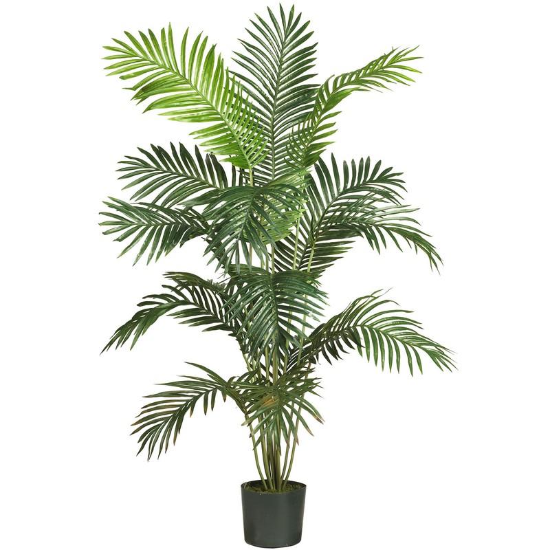 6' Paradise Palm
