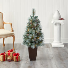 Load image into Gallery viewer, 3.5&#39; Frosted Tip British Columbia Mountain Pine Artificial Christmas Tree
