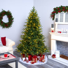 Load image into Gallery viewer, 6&#39; Colorado Mountain Fir &#39;Natural Look&#39; Artificial Christmas Tree w/ 350 LED
