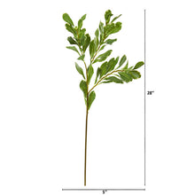 Load image into Gallery viewer, 28&quot; Salal Artificial Spray (Set of 4)
