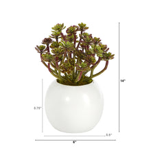 Load image into Gallery viewer, 7&quot; Sedum Succulent Artificial Plant in White Planter
