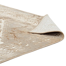 Load image into Gallery viewer, Rosina Distressed Vintage Medallion 5x8 Area Rug by Modway
