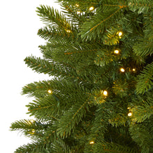 Load image into Gallery viewer, 5' Sierra Spruce 'Natural Look' Artificial Christmas Tree w/ 200 Clear LED Light

