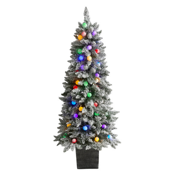 5' Flocked British Columbia Mountain Fir Artificial Christmas Tree