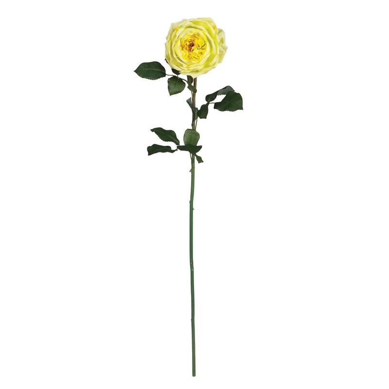31