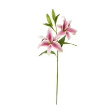 Load image into Gallery viewer, 31&quot; Rubrum Lily Artificial Flower (Set of 3)
