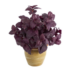 Load image into Gallery viewer, 12&quot; Basil Artificial Plant in Ceramic Planter
