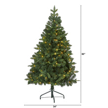 Load image into Gallery viewer, 5&#39; Grand Teton Spruce Flat Back Artificial Christmas Tree
