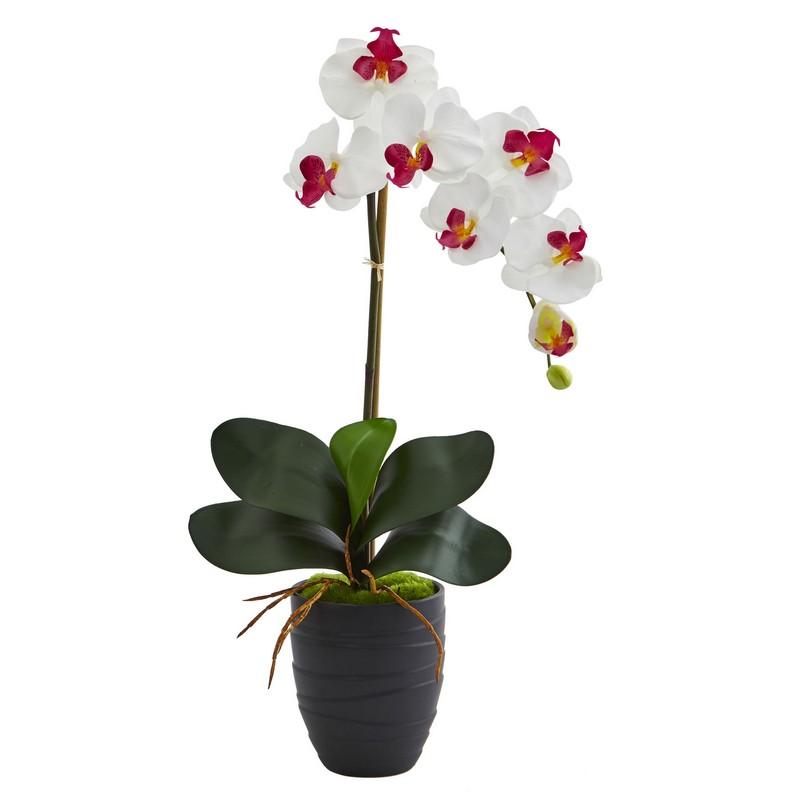 Phalaenopsis Orchid Artificial Arrangement in Black Vase