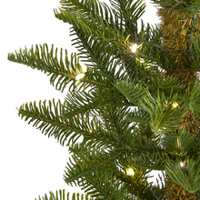Load image into Gallery viewer, 4&#39; Alaskan Alpine Artificial Christmas Tree with 50 Clear Microdot
