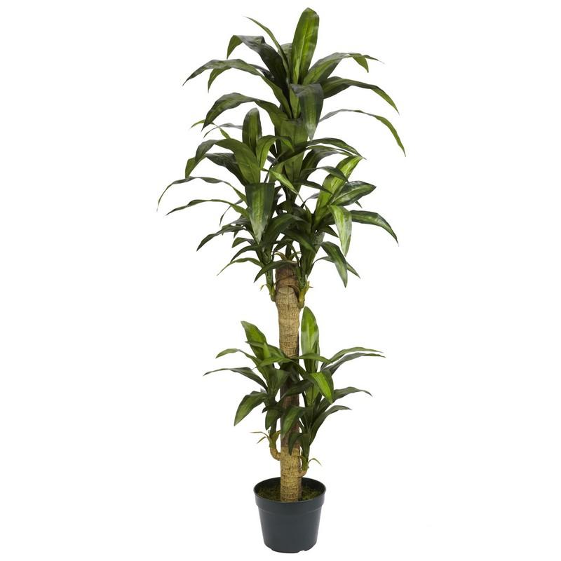 5' Yucca Silk Plant 6100 By Nearly Natural