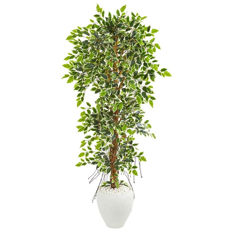 5.5' Elegant Ficus Artificial Tree in White Planter